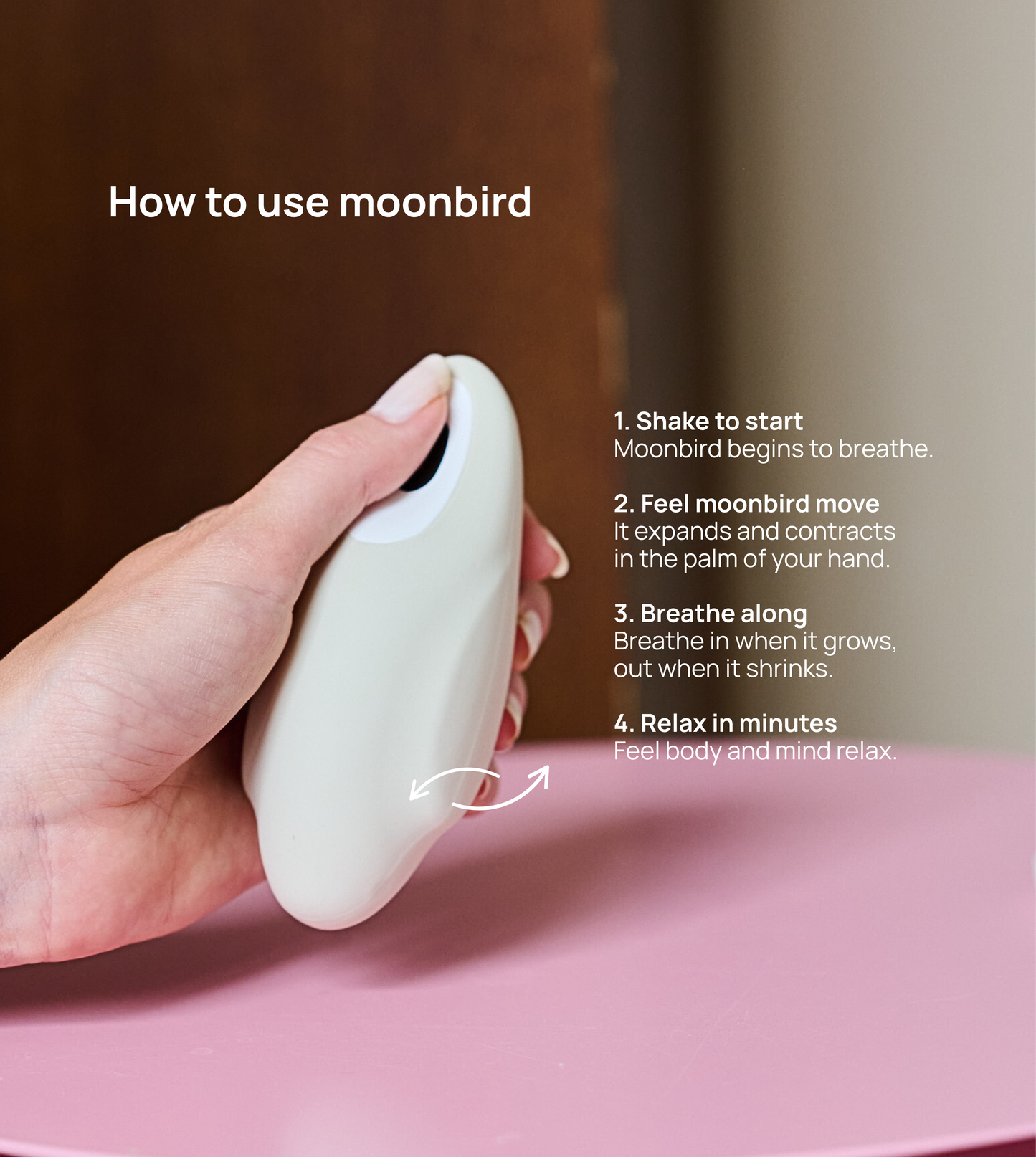 moonbird
