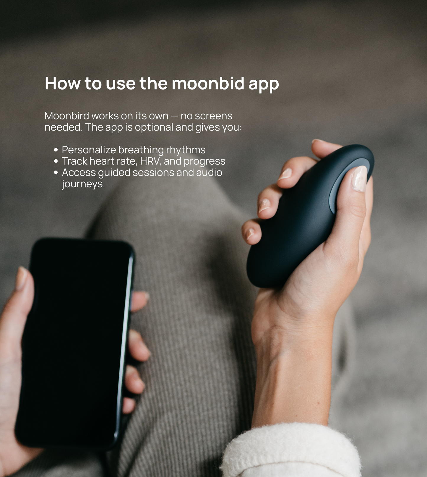 moonbird