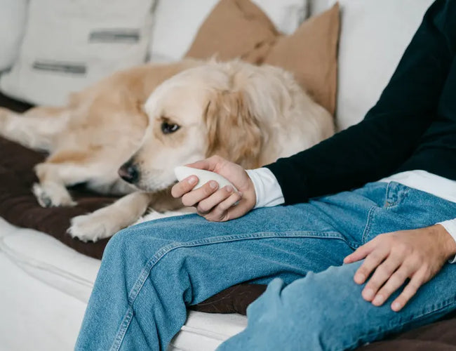 Breathwork for anxiety: tips for a safe and comfortable breathing practice