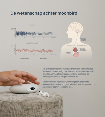 De wetenschap achter traag ademen [nl]
