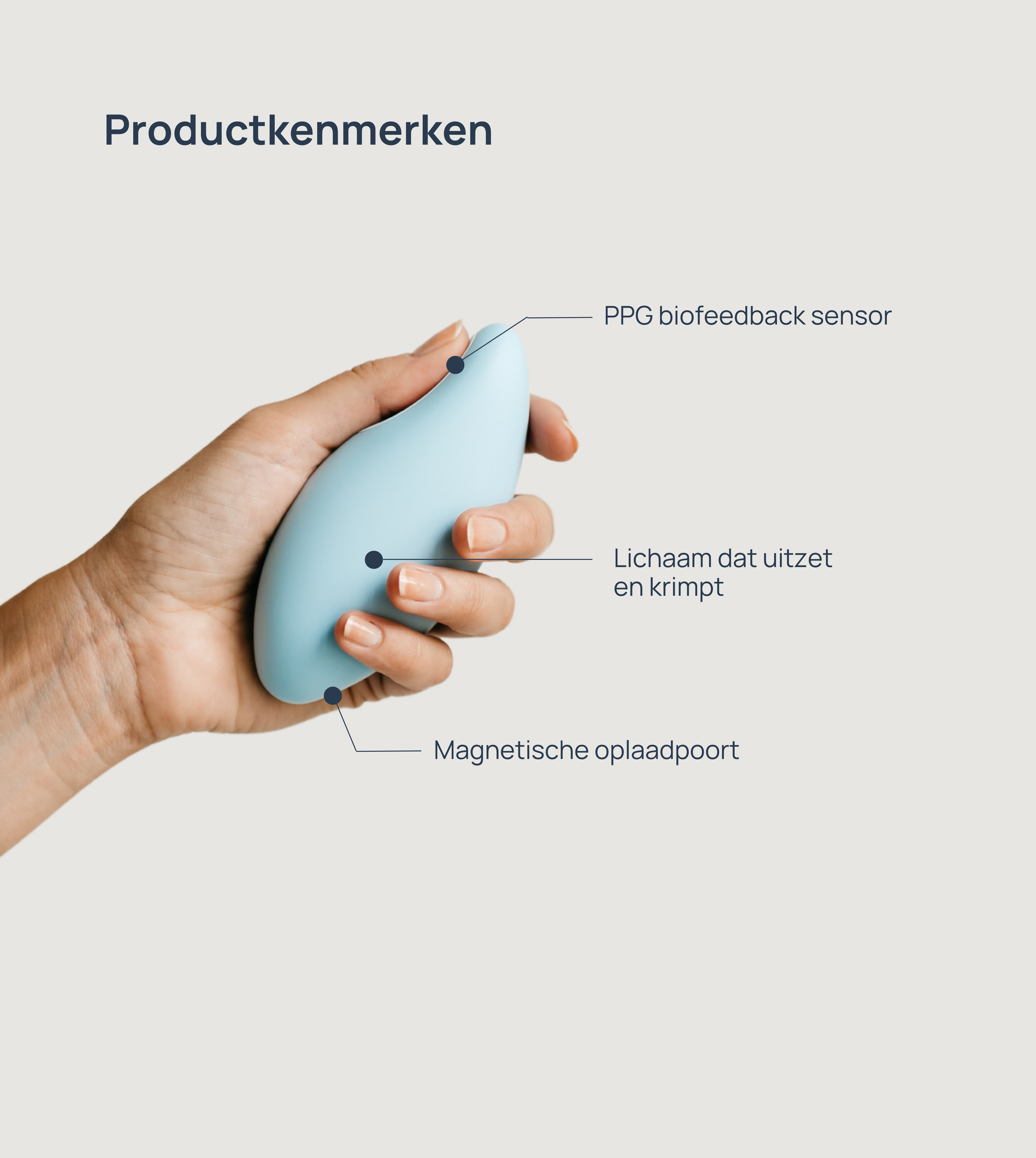 Productkenmerken [nl]