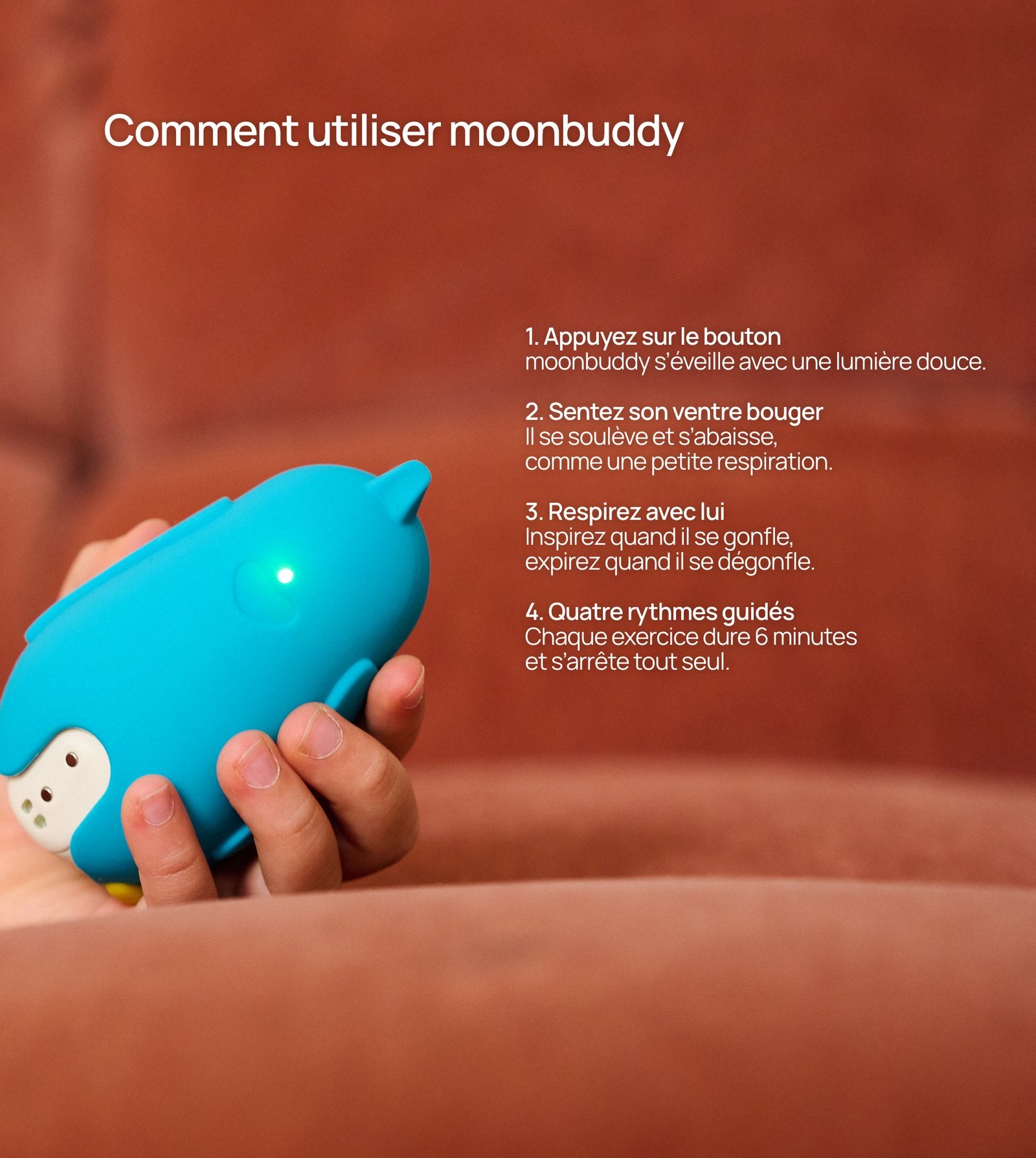 le personnage moonbuddy Barry l’ours